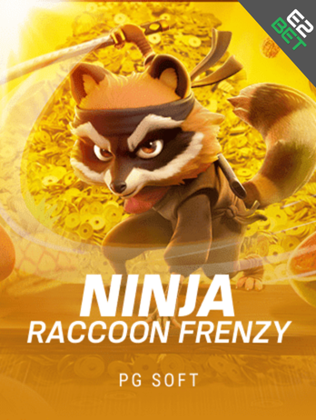 Ninja Raccoon Frenzy