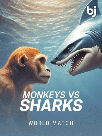 Monkey's vs Shark