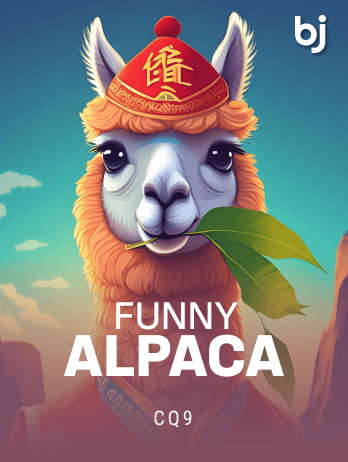 Funny Alpaca