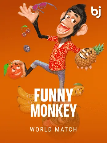 Funny Monkey