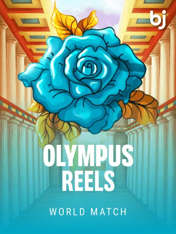 Olympus reels