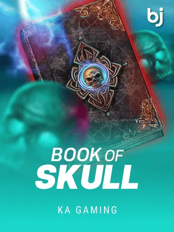 BookOfSkull